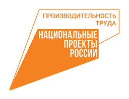 Первые результаты нацпроекта «Производительность труда» в Ростовской бласти