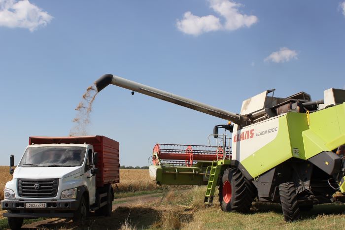 Донские аграрии собрали первый миллион тонн зерна нового урожая