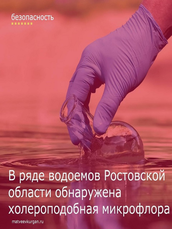 В Ростовской области обнаружена холероподобная микрофлора