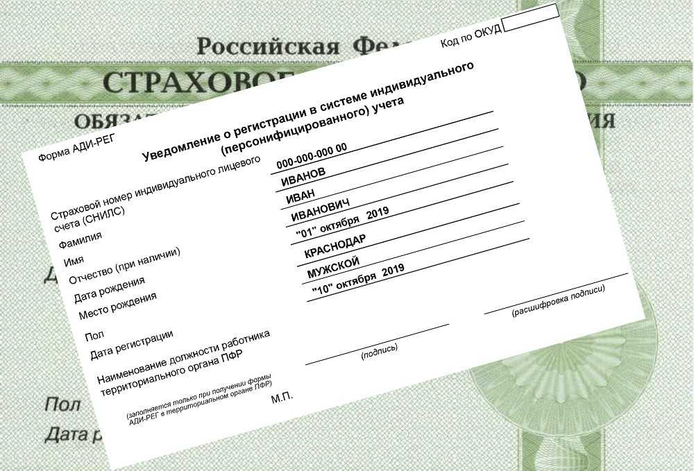 С начала 2024 года Отделение СФР по Ростовской области проактивно открыло 17,9 тысячи СНИЛС новорожденным