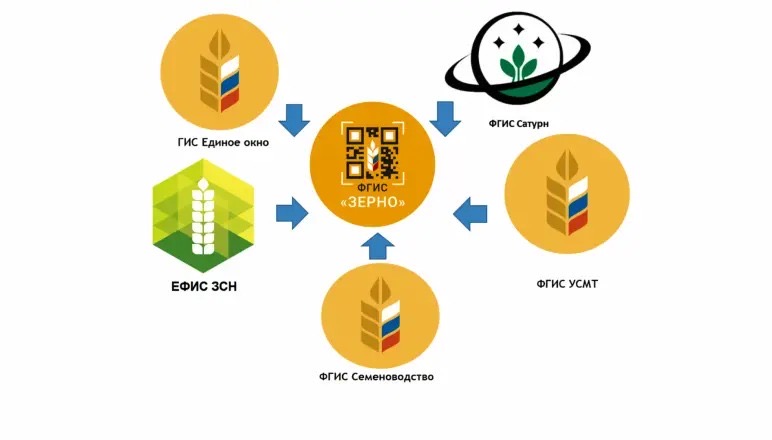Работа во ФГИС «Семеноводство» стала обязательной для всех участников рынка семян