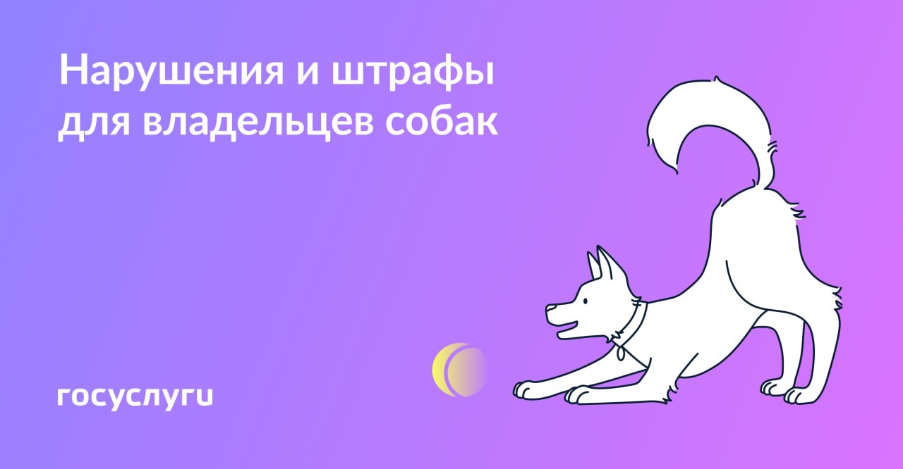 Без поводка и лает: как хозяева собак нарушают права соседей и что с этим делать