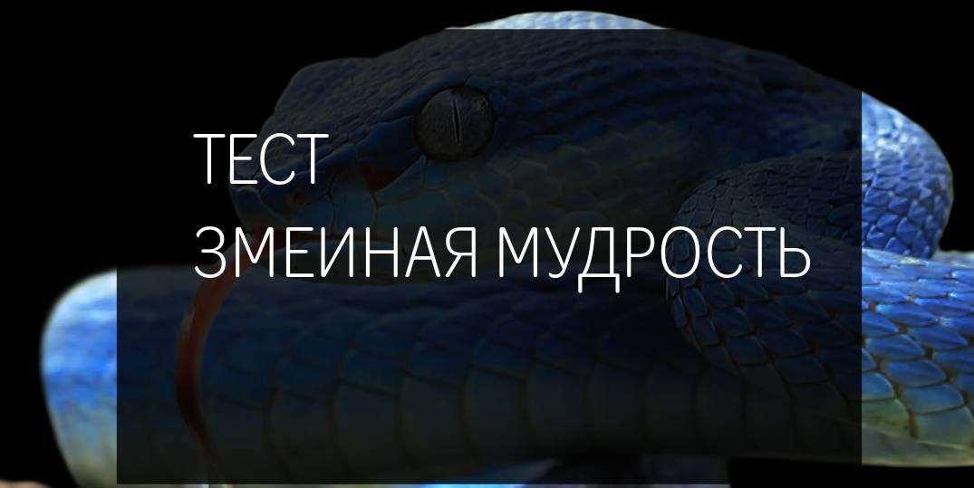 «Кое-что о змеях: не наступай на них, и у них не будет причины тебя кусать»