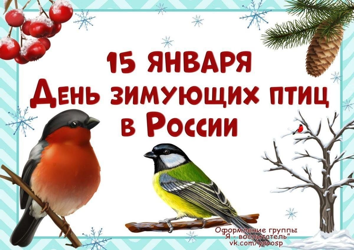 15 января – День зимующих птиц в России