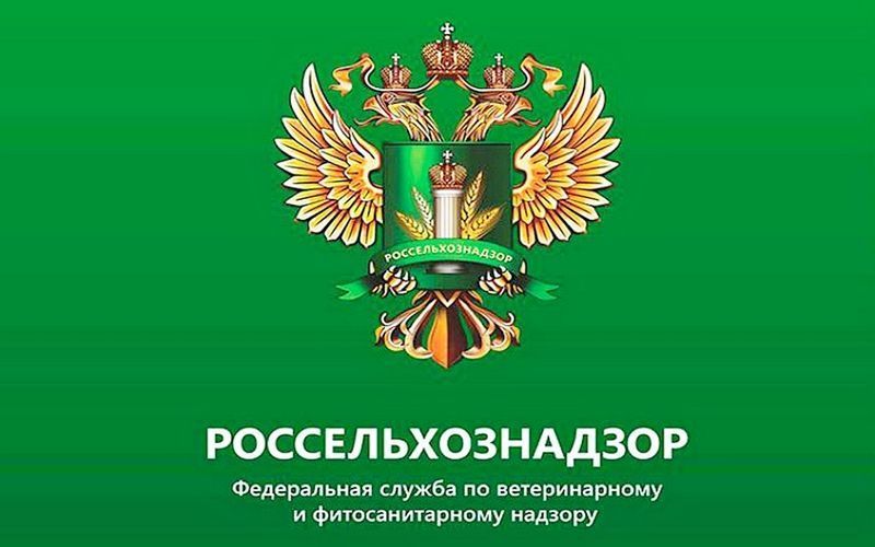 В Ростовской области Россельхознадзор привлек к ответственности заведующую детского сада за поставку молочной продукции без документов